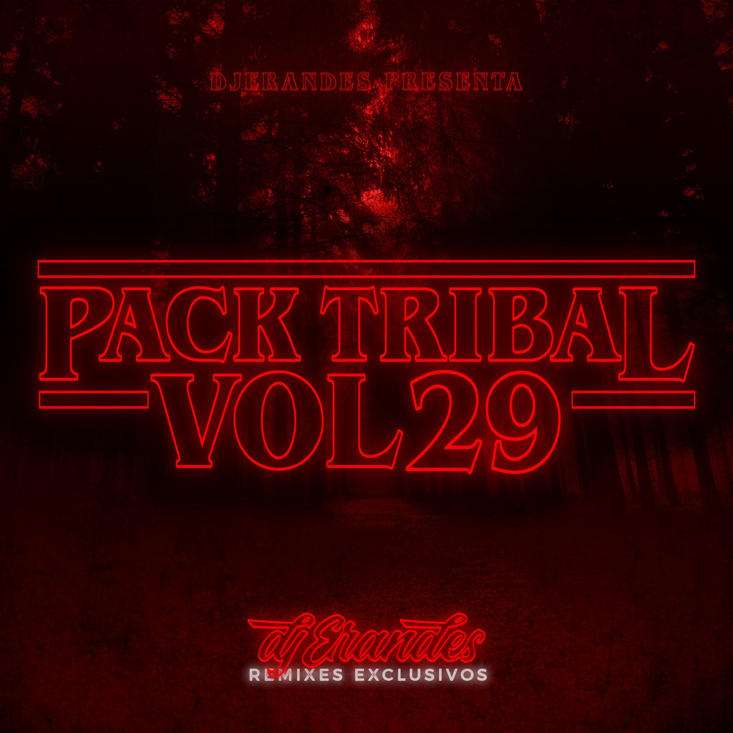 DJ Erandes Pack Vol.29
