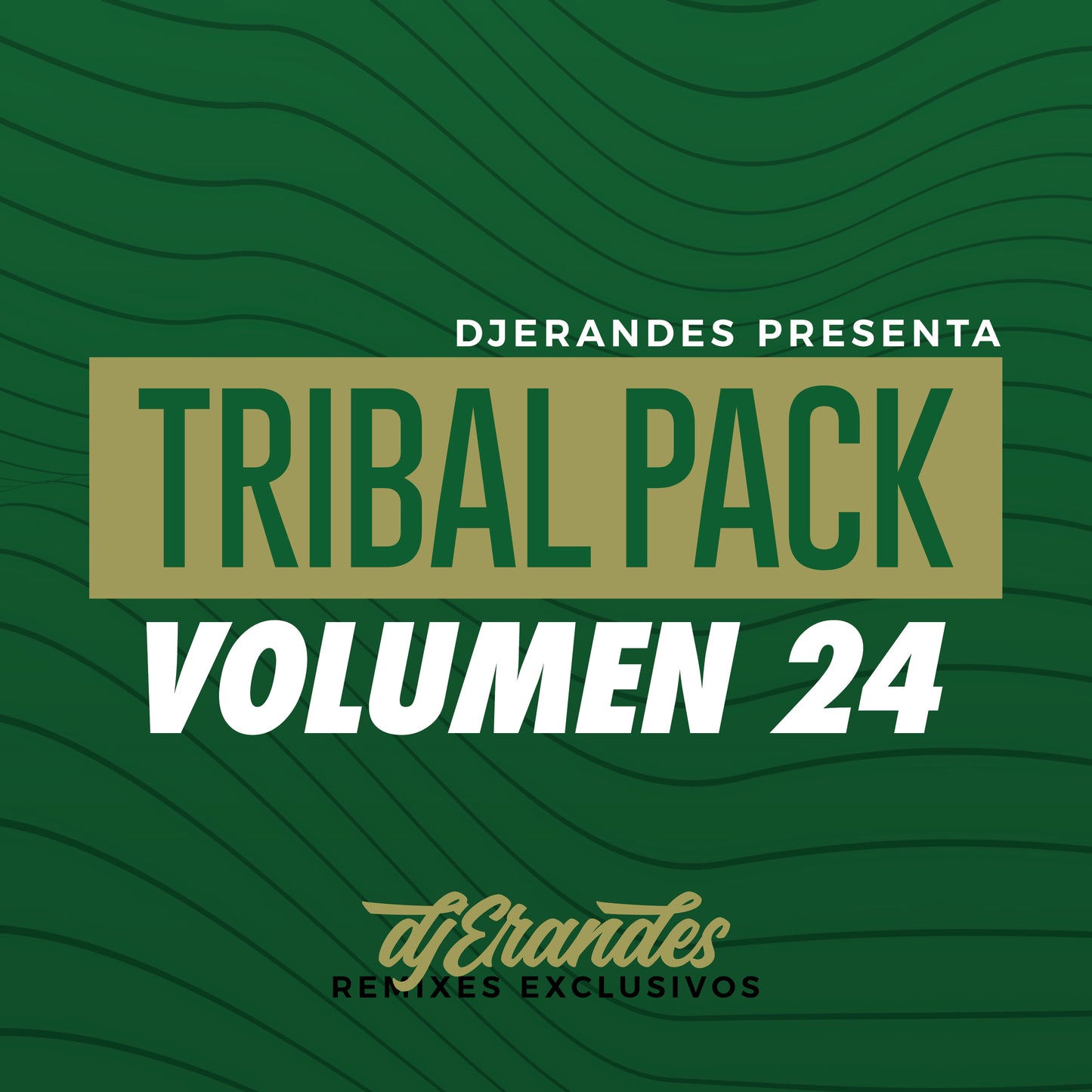 DJ Erandes Pack Vol.24
